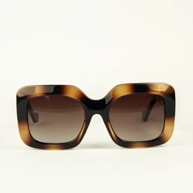 Сонцезахисні окуляри Despada DS 2118 C2 коричневі